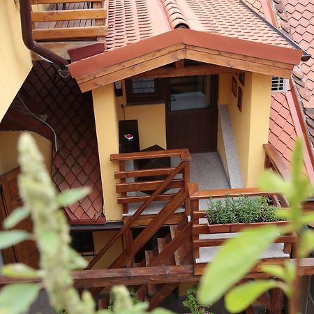 ホテル Casa Crown ブラショフ エクステリア 写真